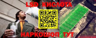 шишки Бузулук