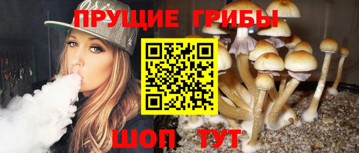 Псилоцибиновые грибы прущие грибы  Вход с VPN  Лыткарино 